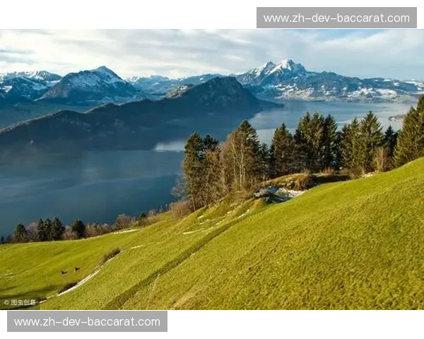 开云海外线路：开启您的全球奢享之门